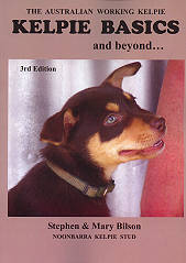 Noonbarra kelpie sales